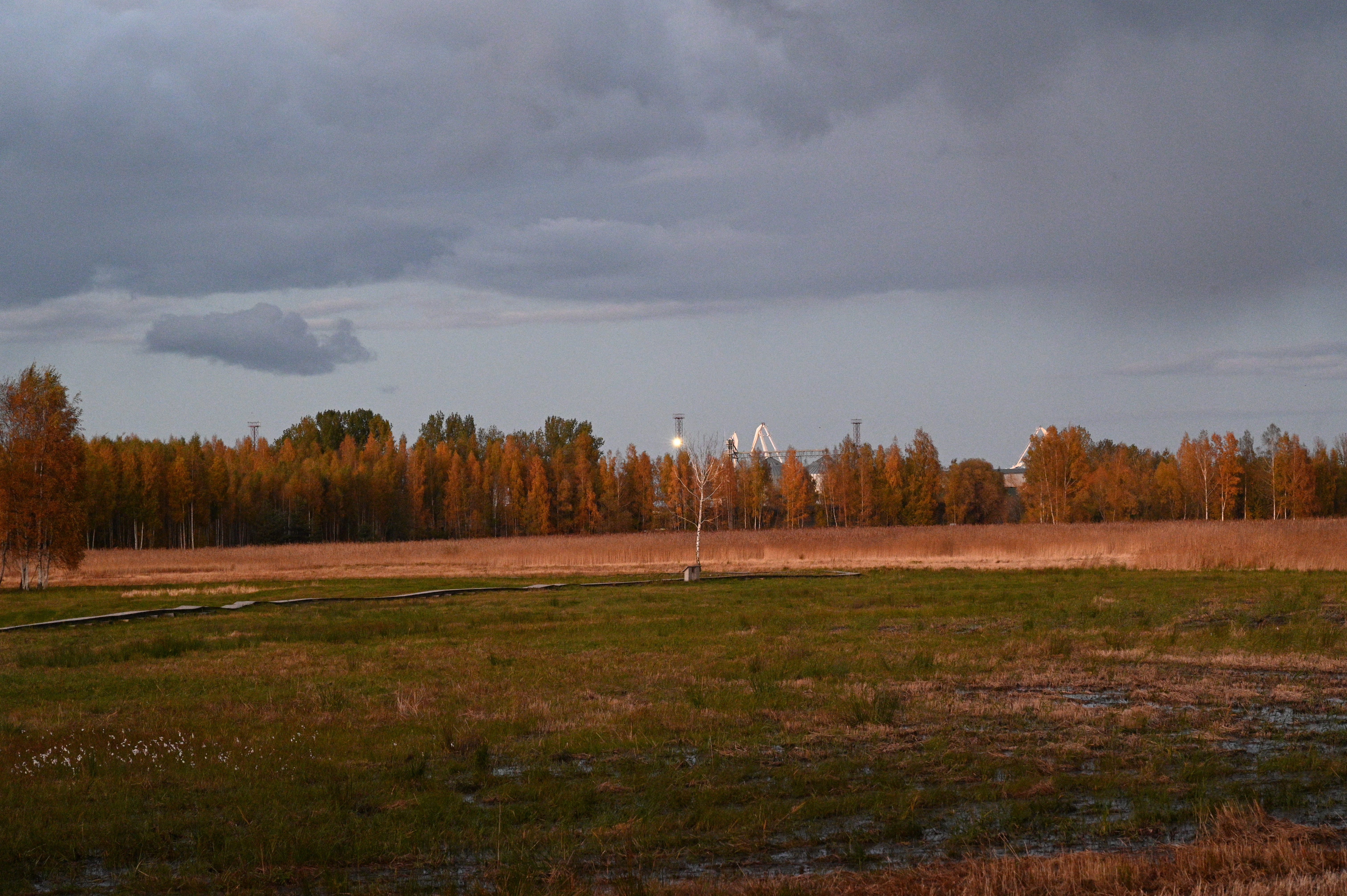 2025/10/18 - walk/DSC_0605.JPG